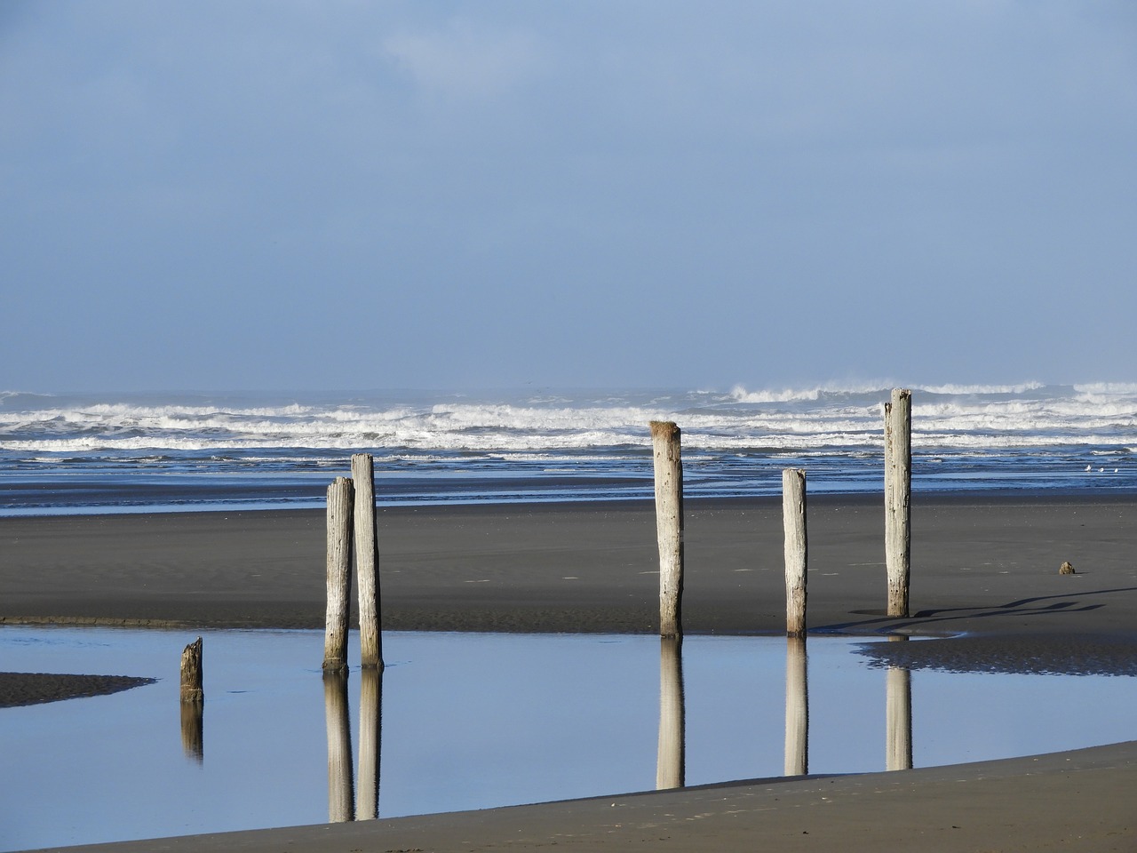 Image - beach piling ocean coast tranquil