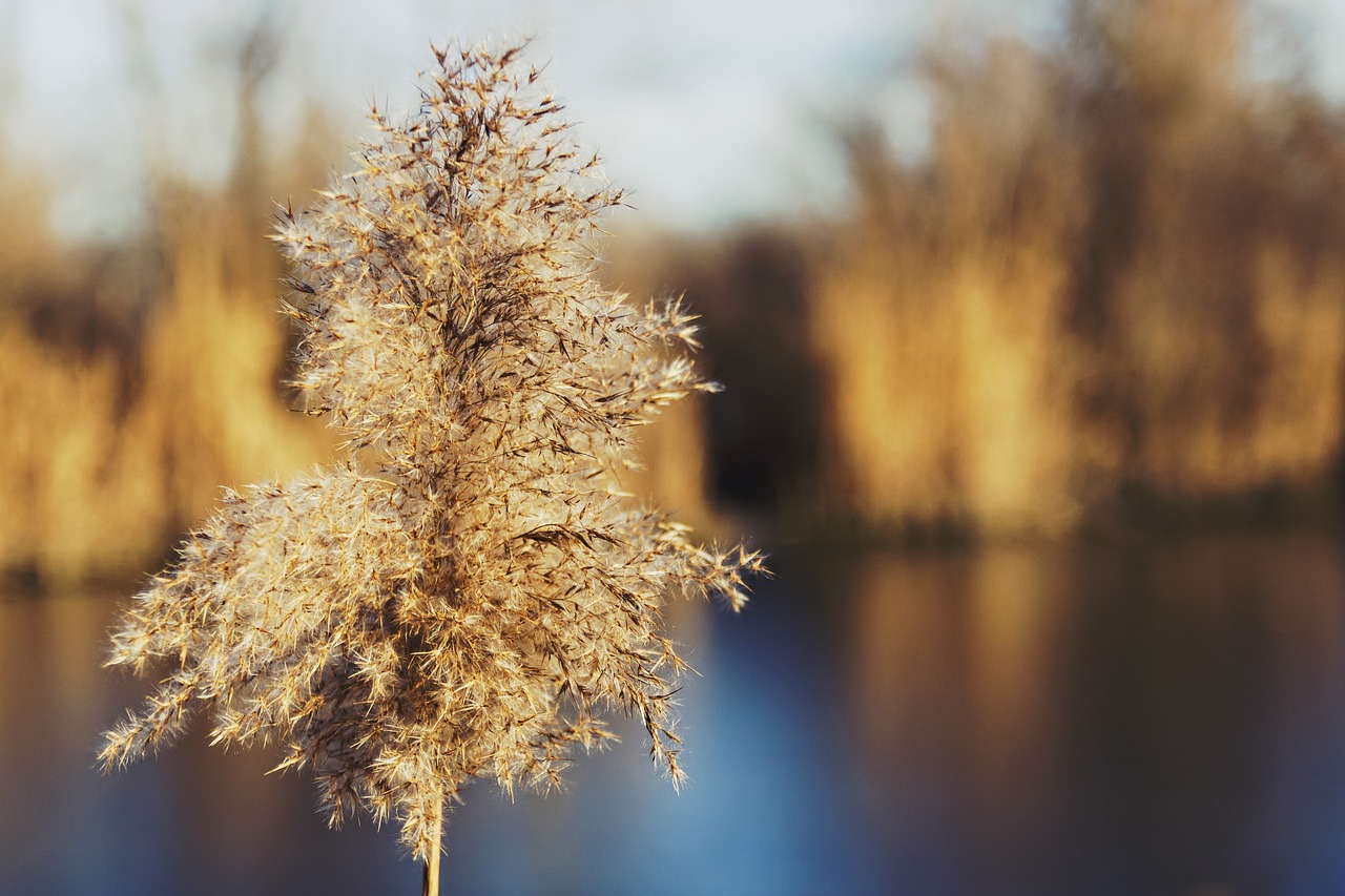 Image - autumn background beautiful blue