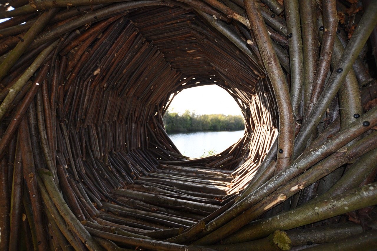 Image - natural structure wooden spiral