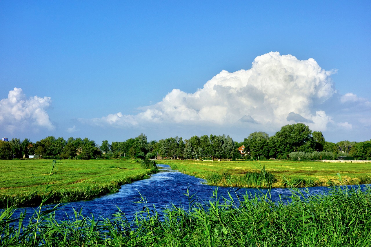 Image - water waterway meadow field polder