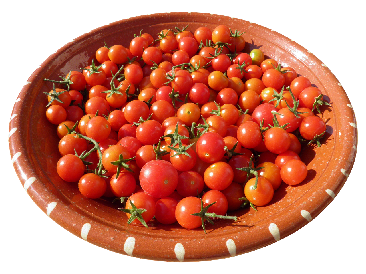 Image - shell clay bowl tomatoes plate