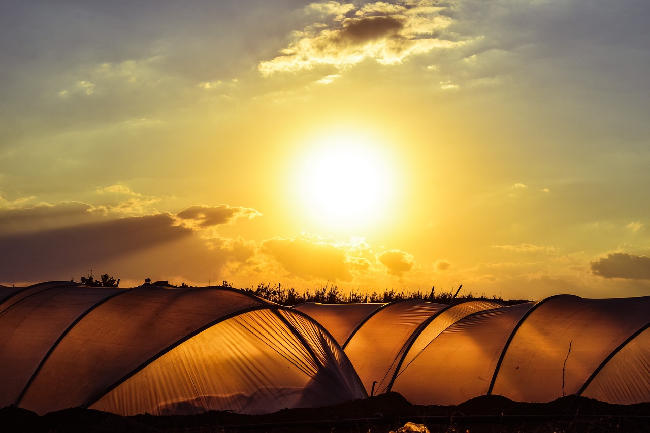 Image - greenhouse hothouse agriculture