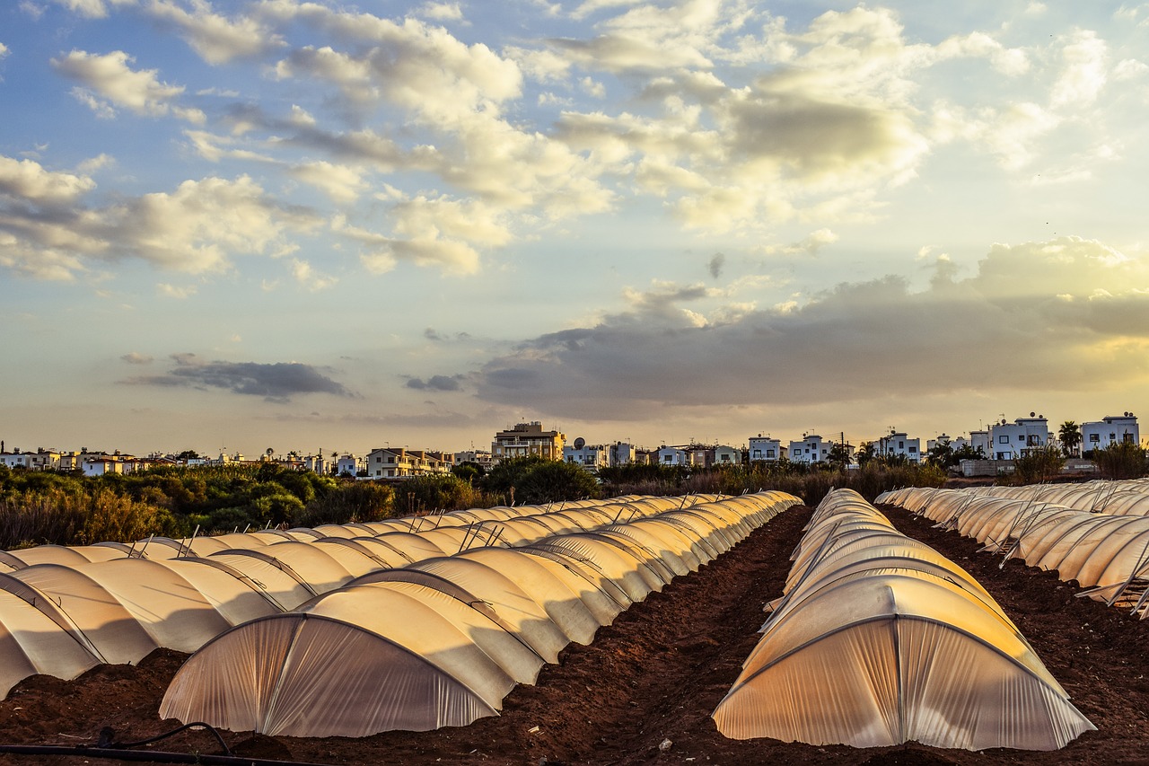 Image - greenhouse hothouse agriculture