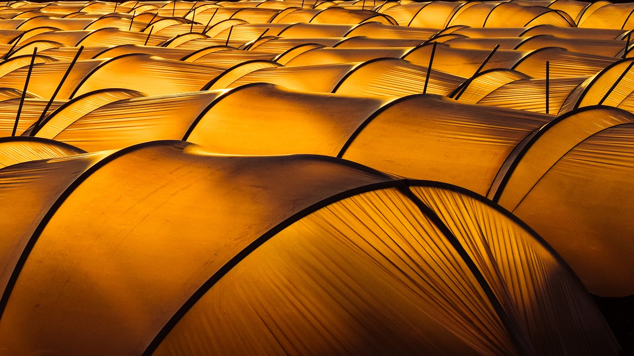 Image - greenhouse hothouse agriculture