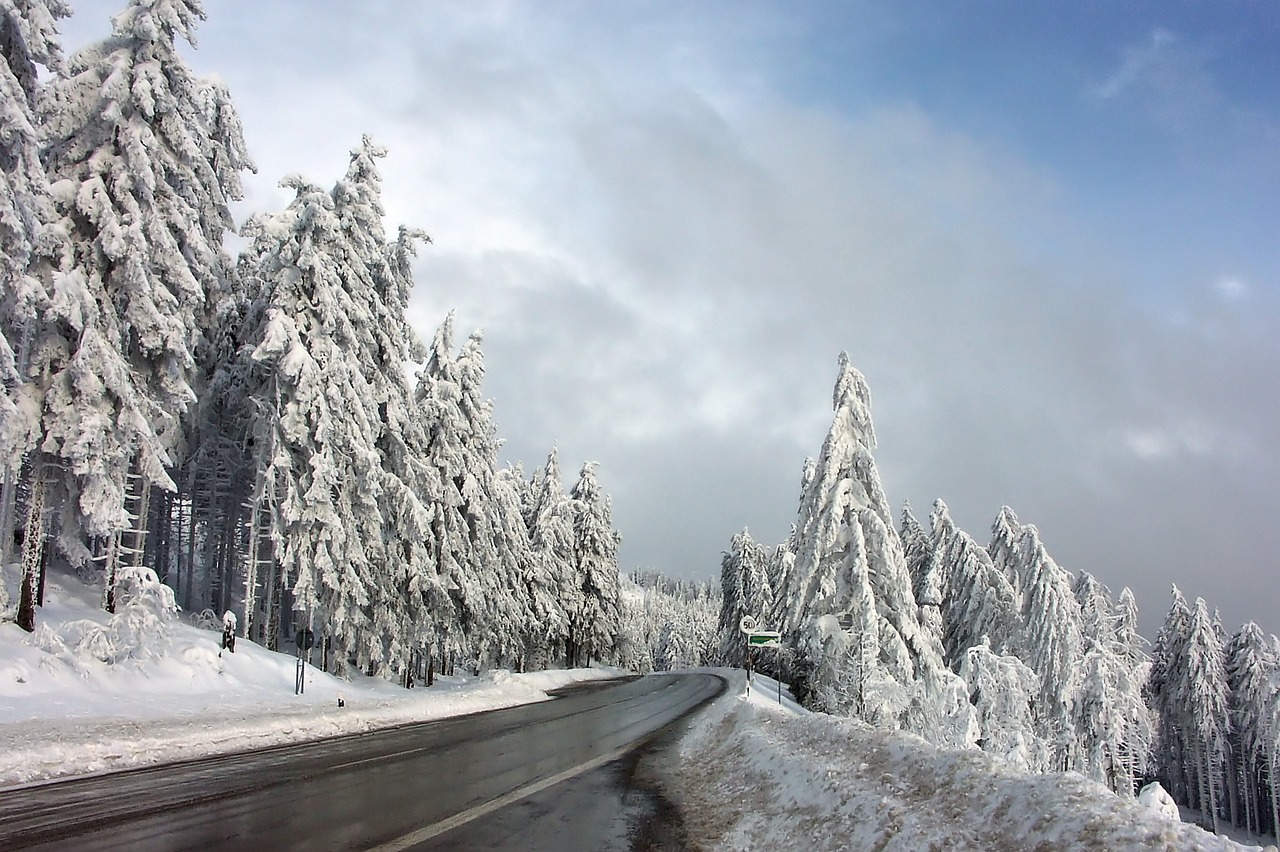 Image - winter snow wintry cold white