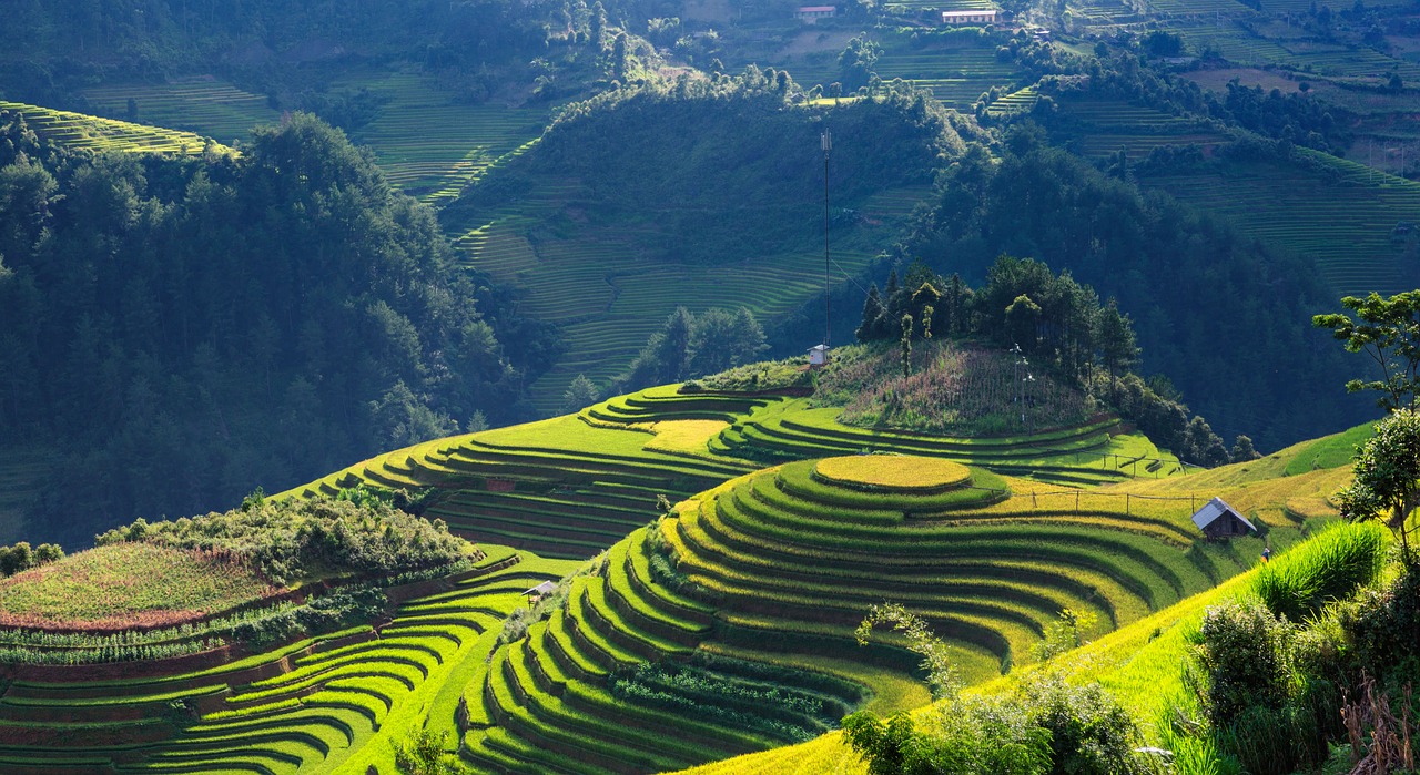 Image - scenery silk terraces