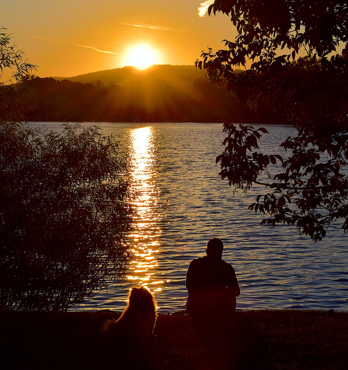 Image - sunset lake person silhouette dog