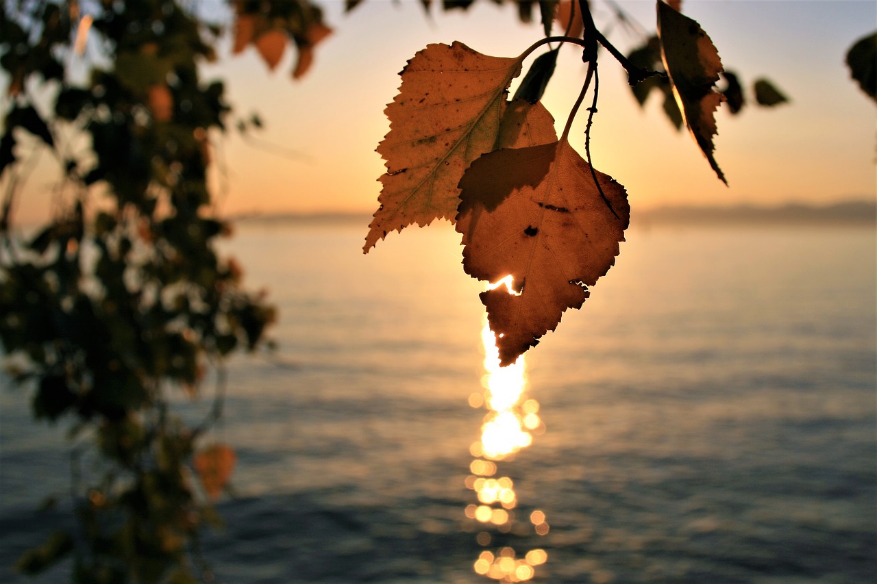 Image - sunrise para autumn foliage lake