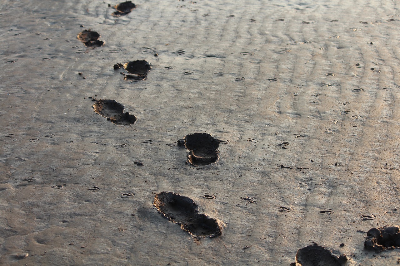 Image - footprints steps bristol coast ebb