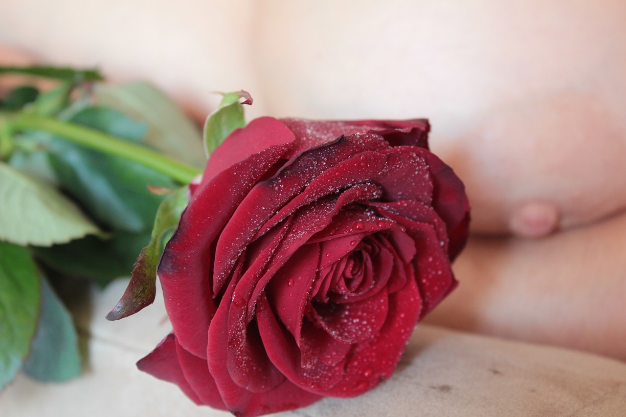 Image - erotica breast nipple rose red