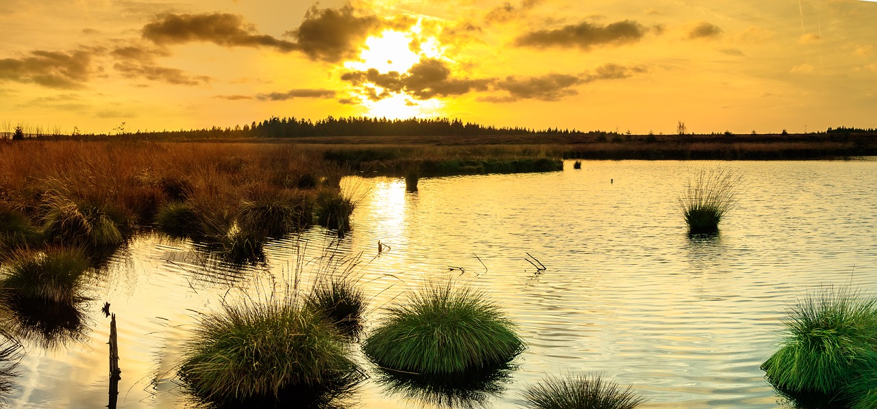 Image - sunset moor veen belgium eifel