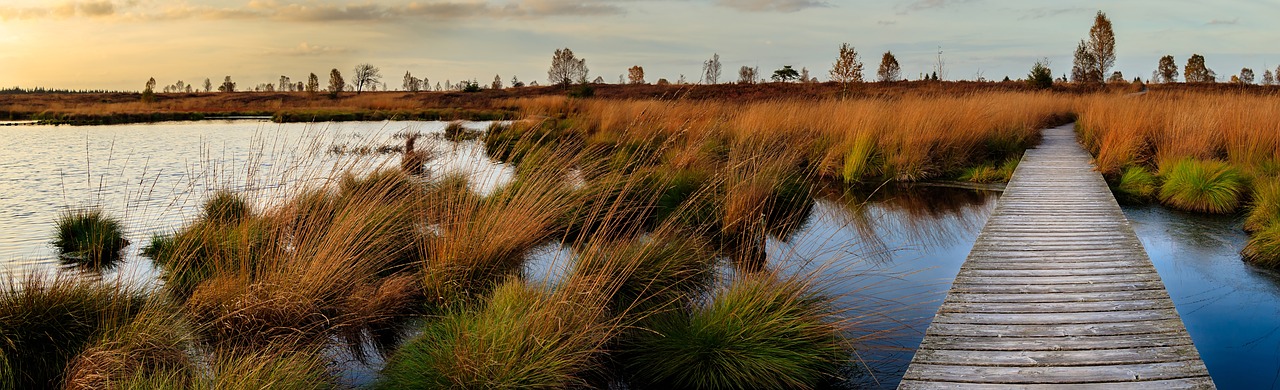 Image - sunset moor veen belgium eifel