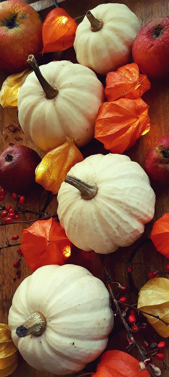 Image - pumpkin physalis apple barberry