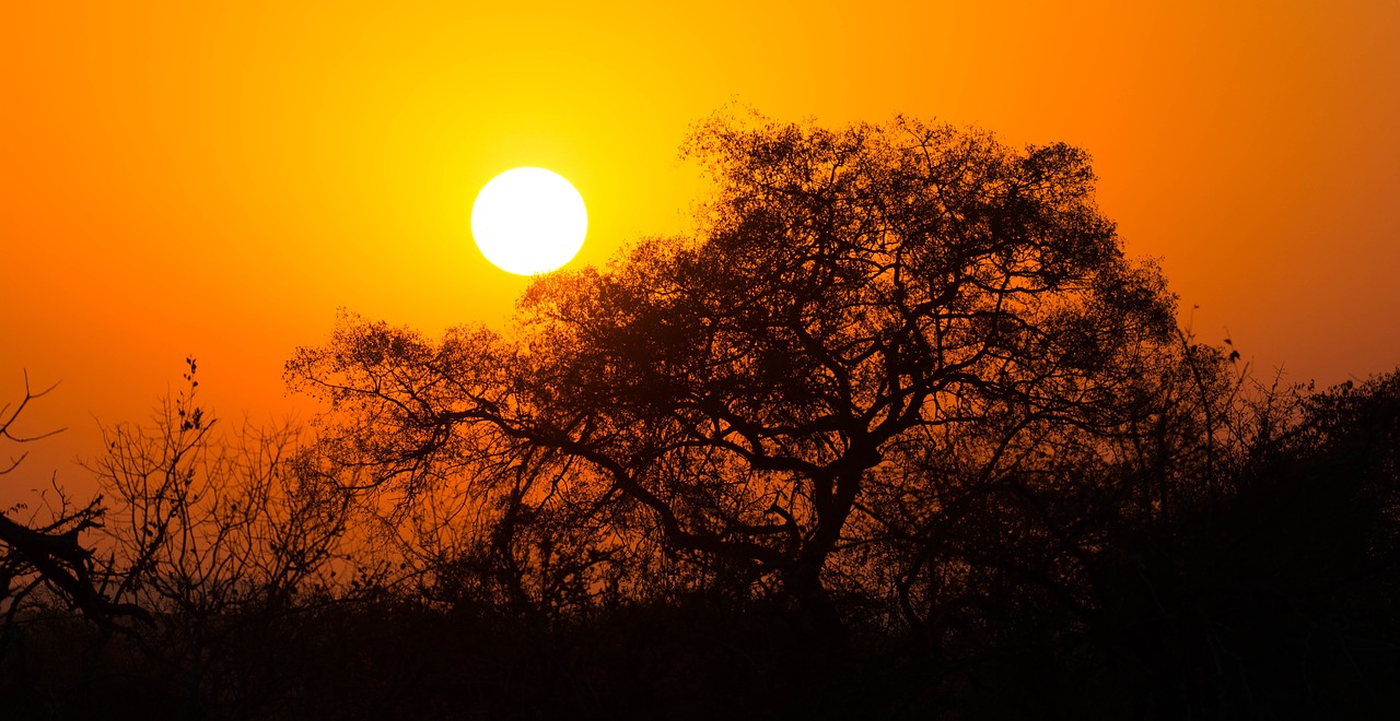 Image - south africa sunrise landscape park