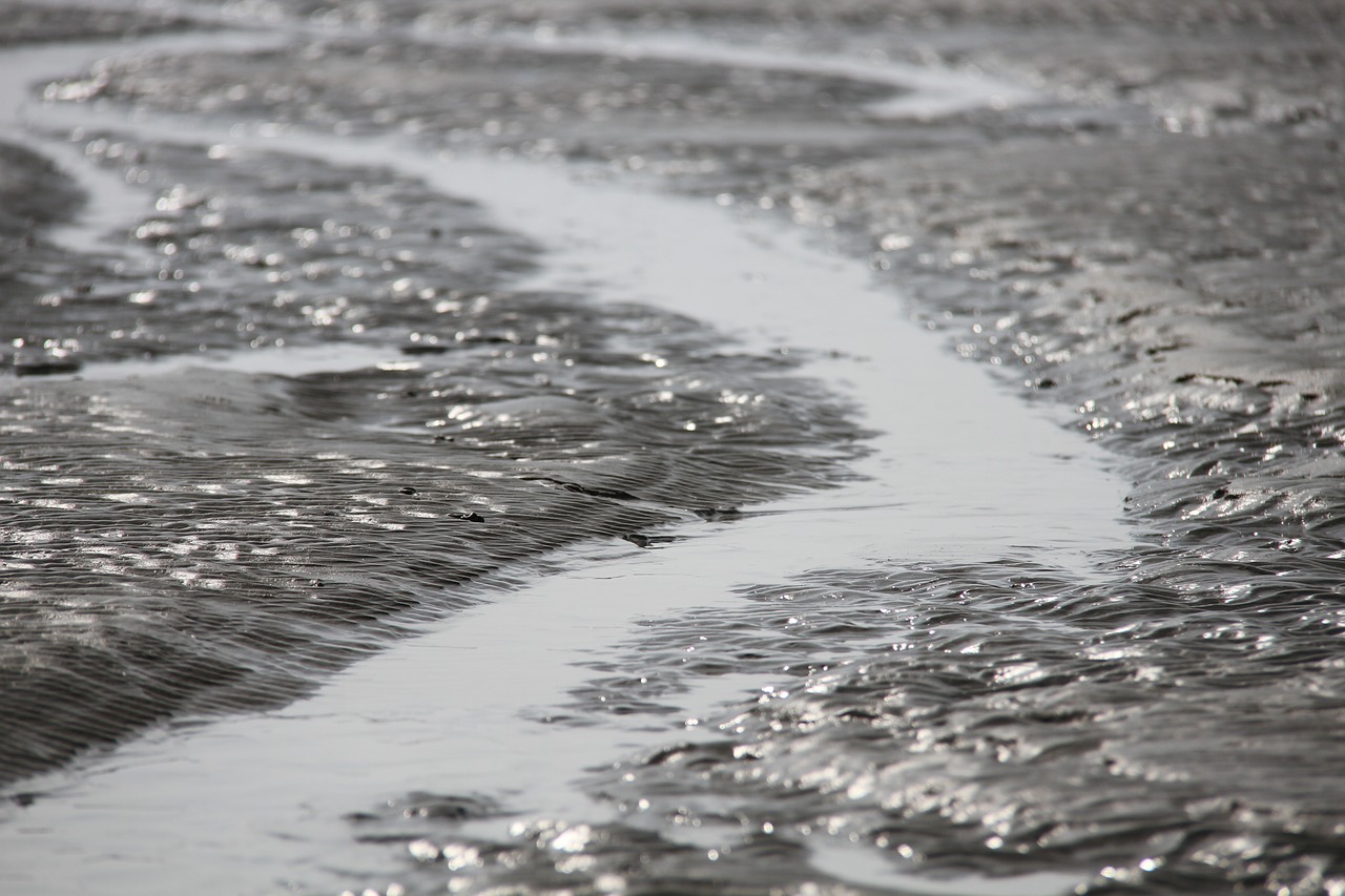 Image - wadden sea ebb north sea nature