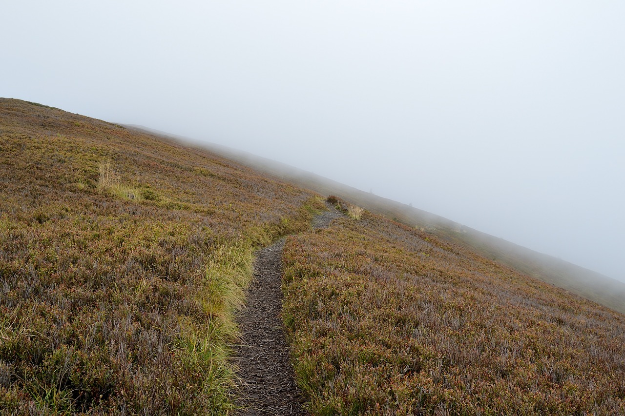 Image - the way suspense fog journey