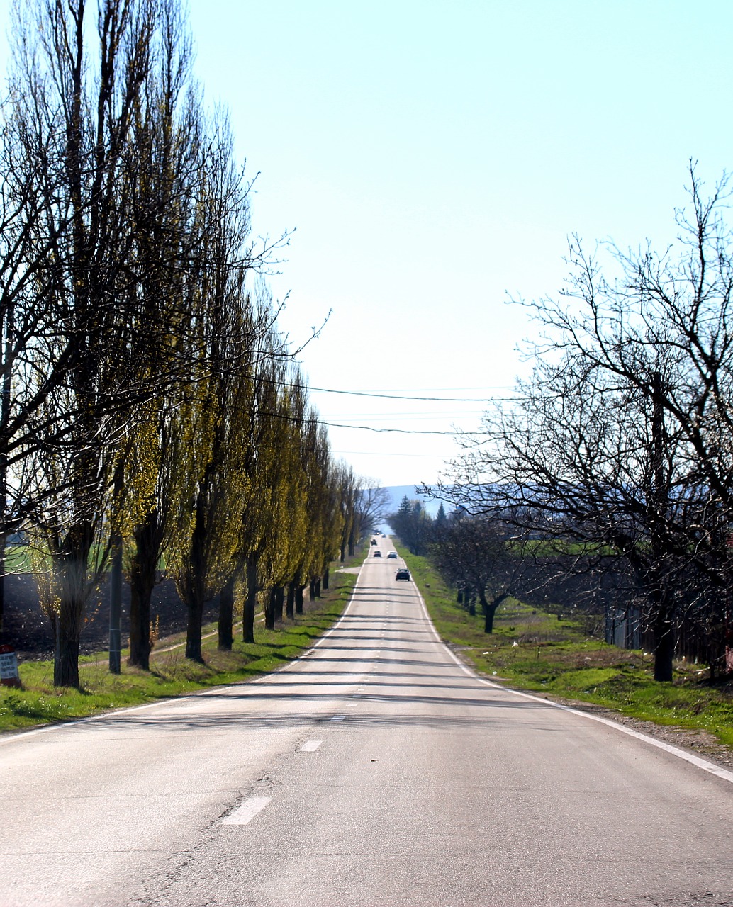 Image - street route trees