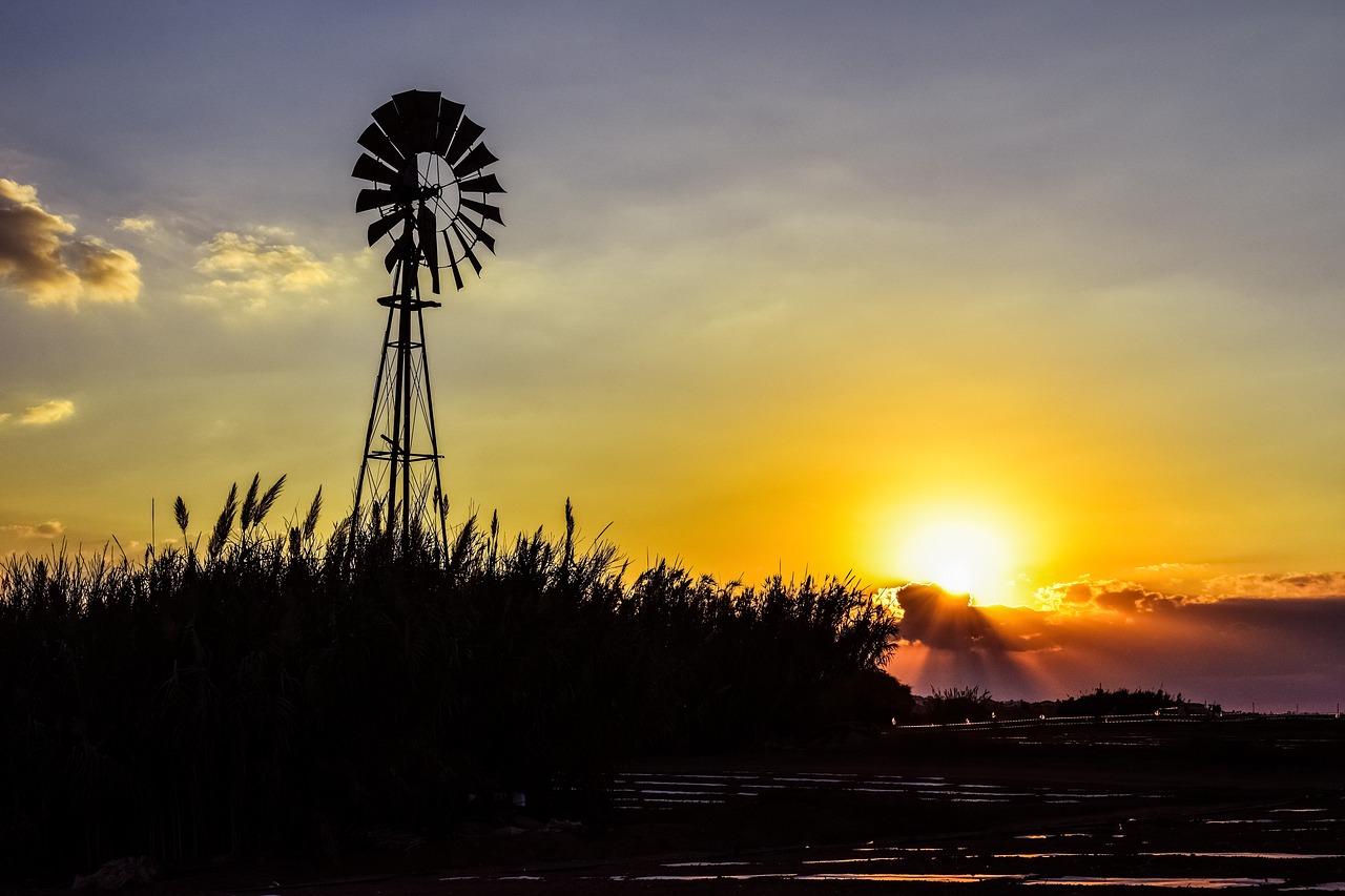 Image - windmill sunset reeds agriculture