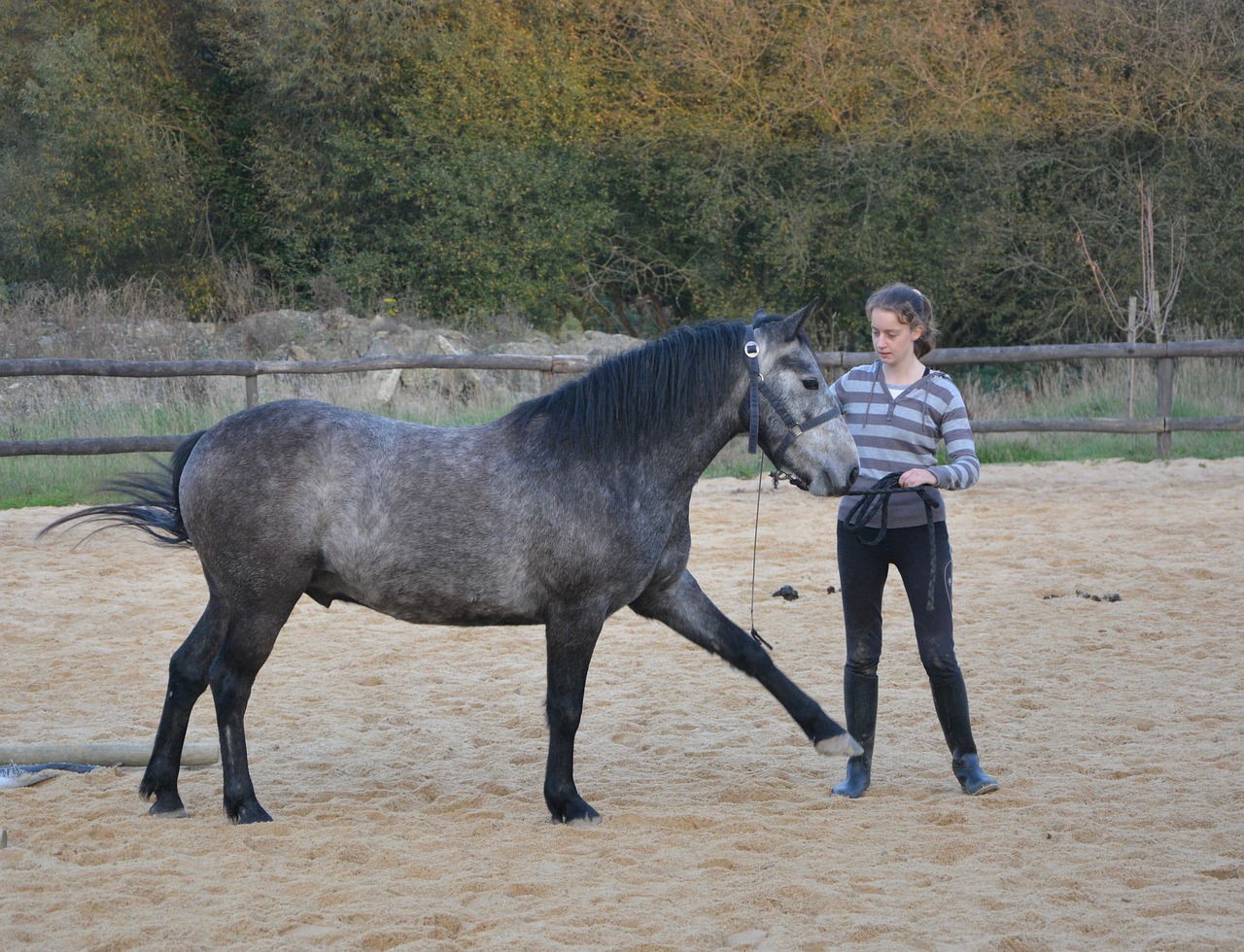 Image - horse girl complicity sport riding