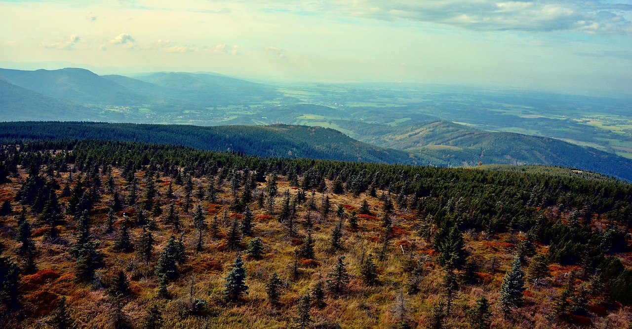 Image - czech republic spruce panorama