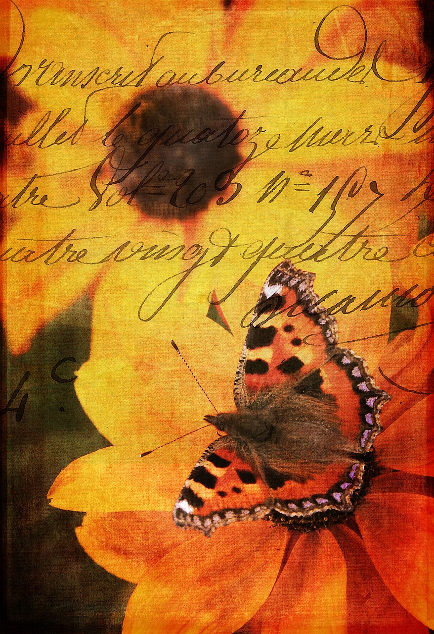 Image - flower flora butterfly handwriting