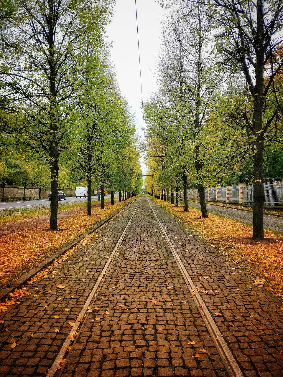 Image - rail tram prague autumn trees