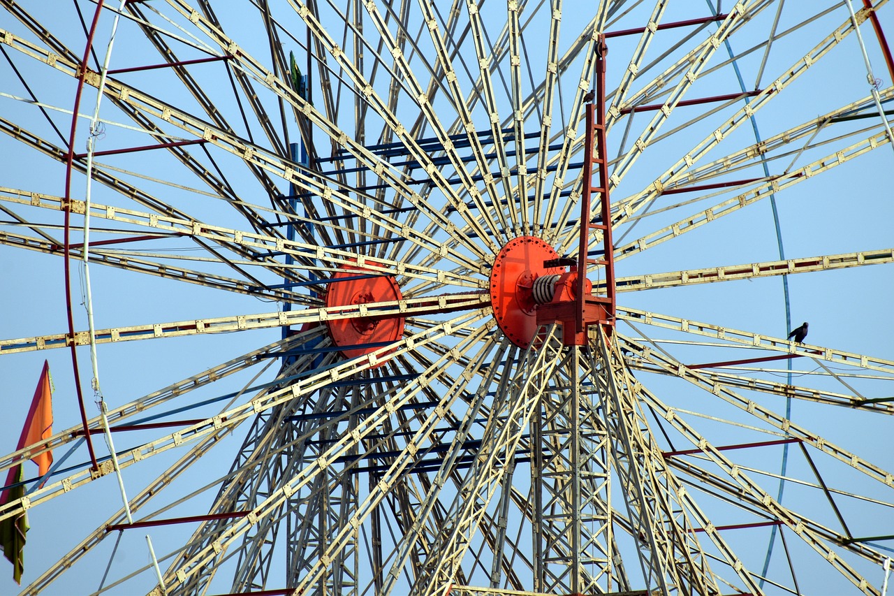 Image - giant spokes giant wheel frame