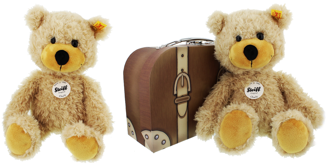 Image - teddy plush isolated teddy bear