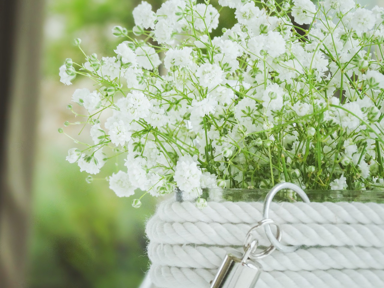 Image - flowers diner love white