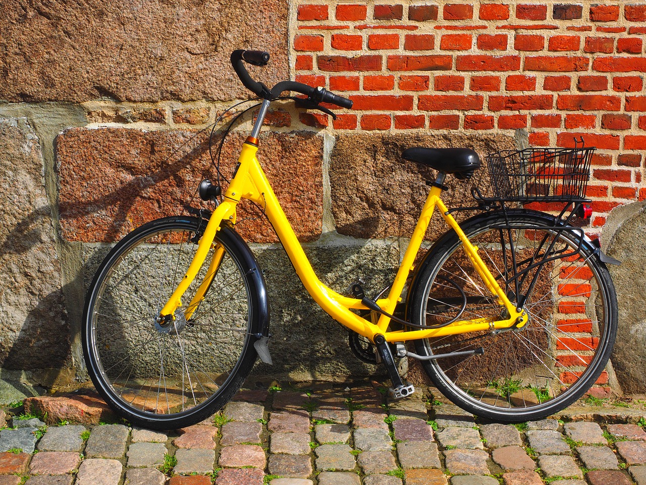 Image - wheel cycling more cycle