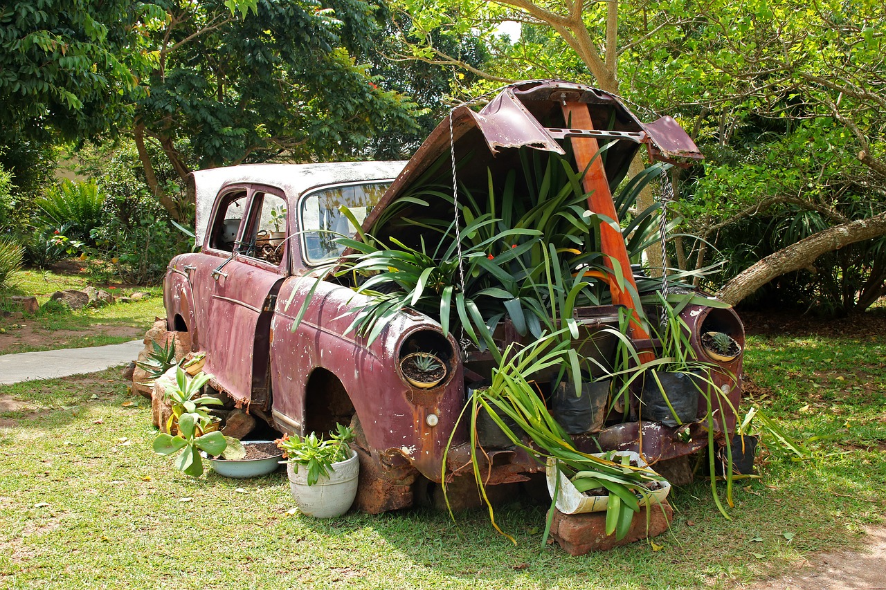 Image - vintage car plants under bonnet car