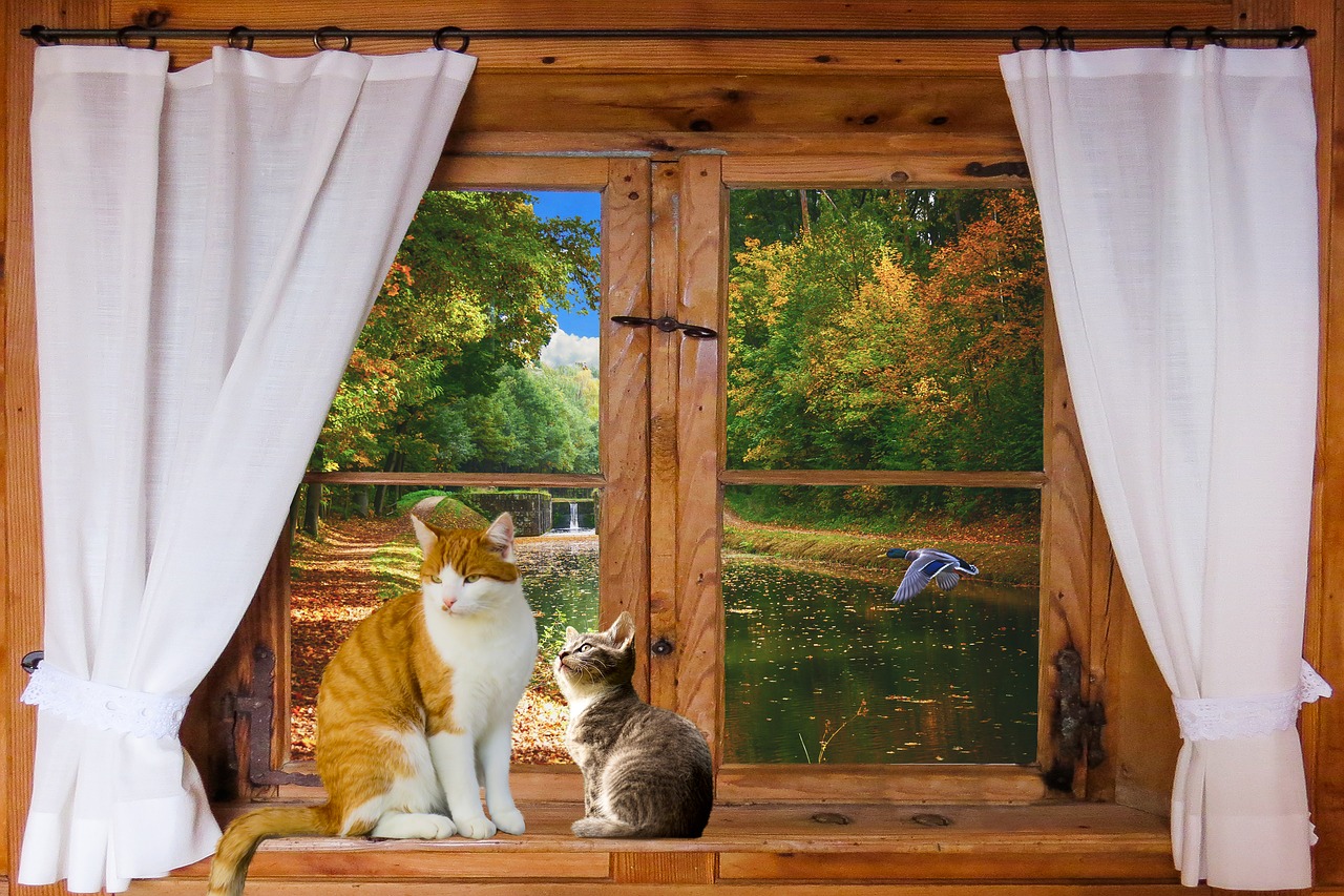 Image - landscape nature window outlook