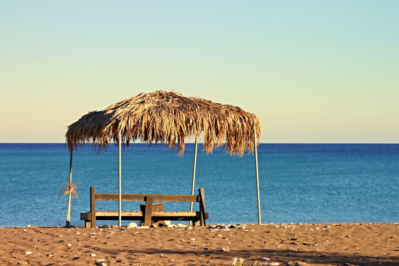 Image - beach sea bank palm leaf