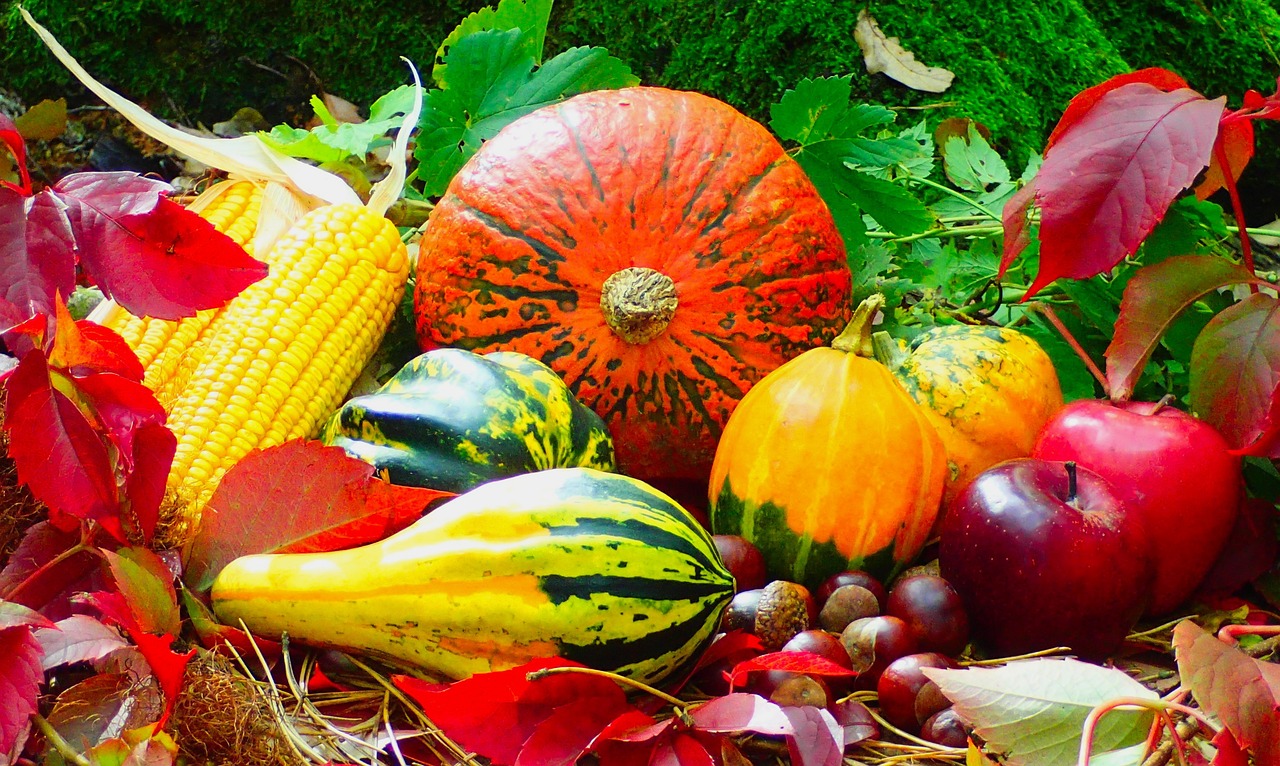 Image - autumn fruits assorted harvest