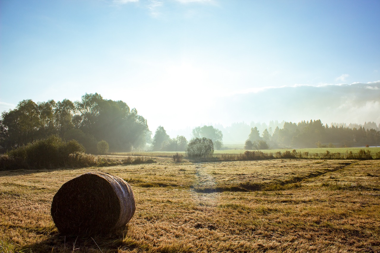 Image - autumn allgäu fog colorful rest