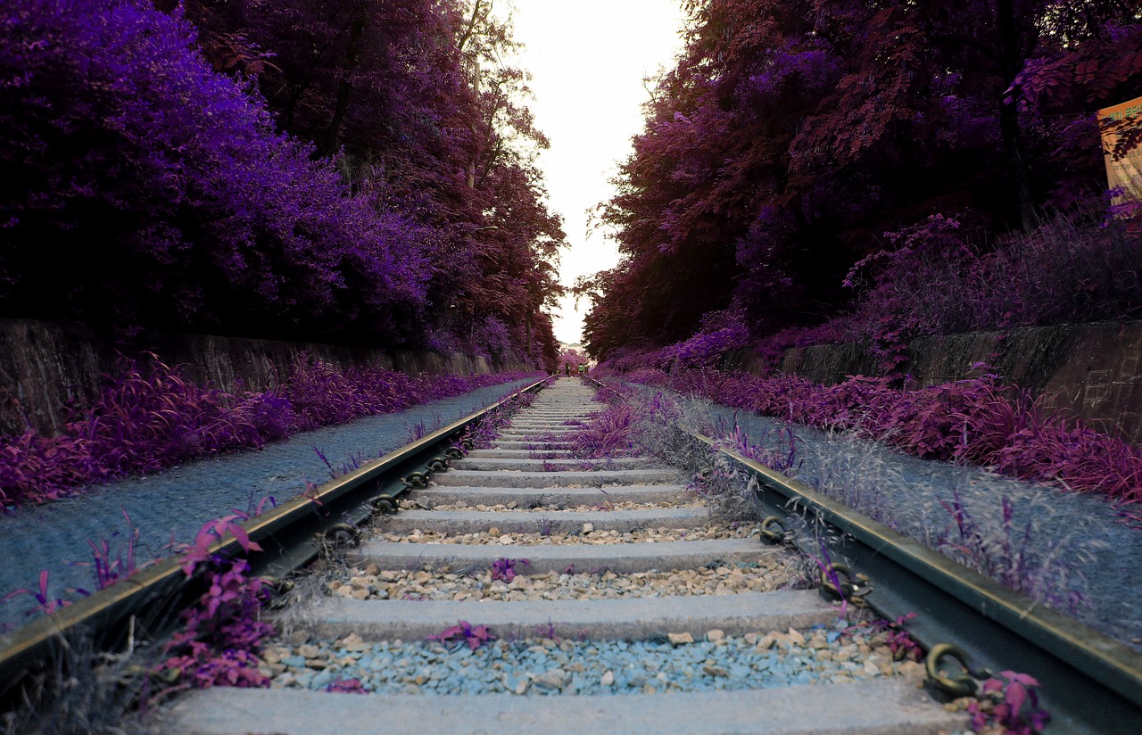 Image - arboretum railroad tracks mont hwan