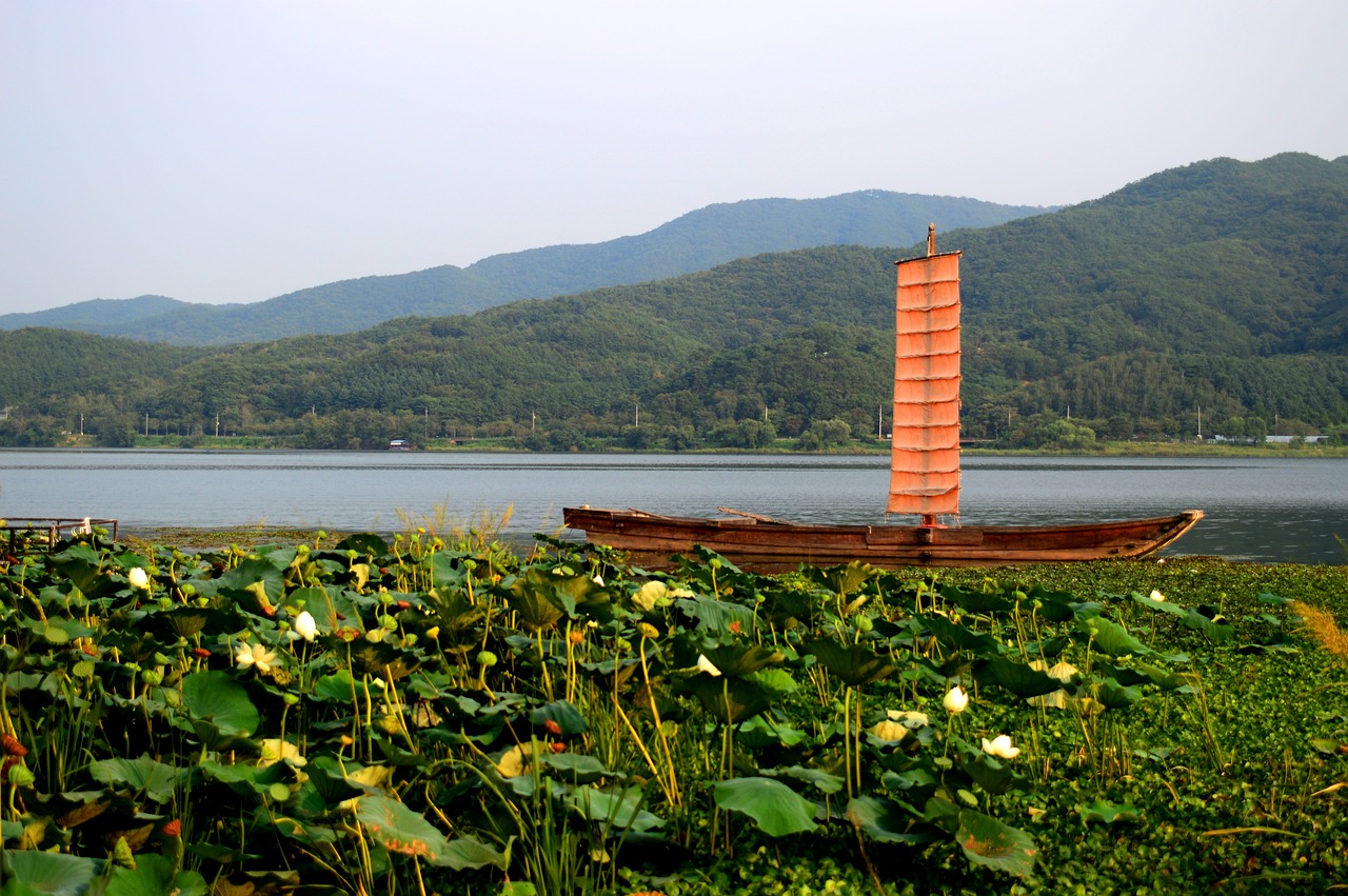 Image - river by the river lotus times