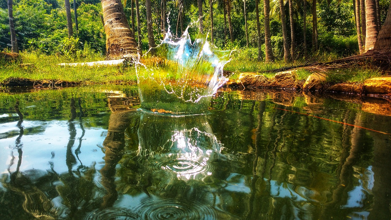 Image - coconut water wall