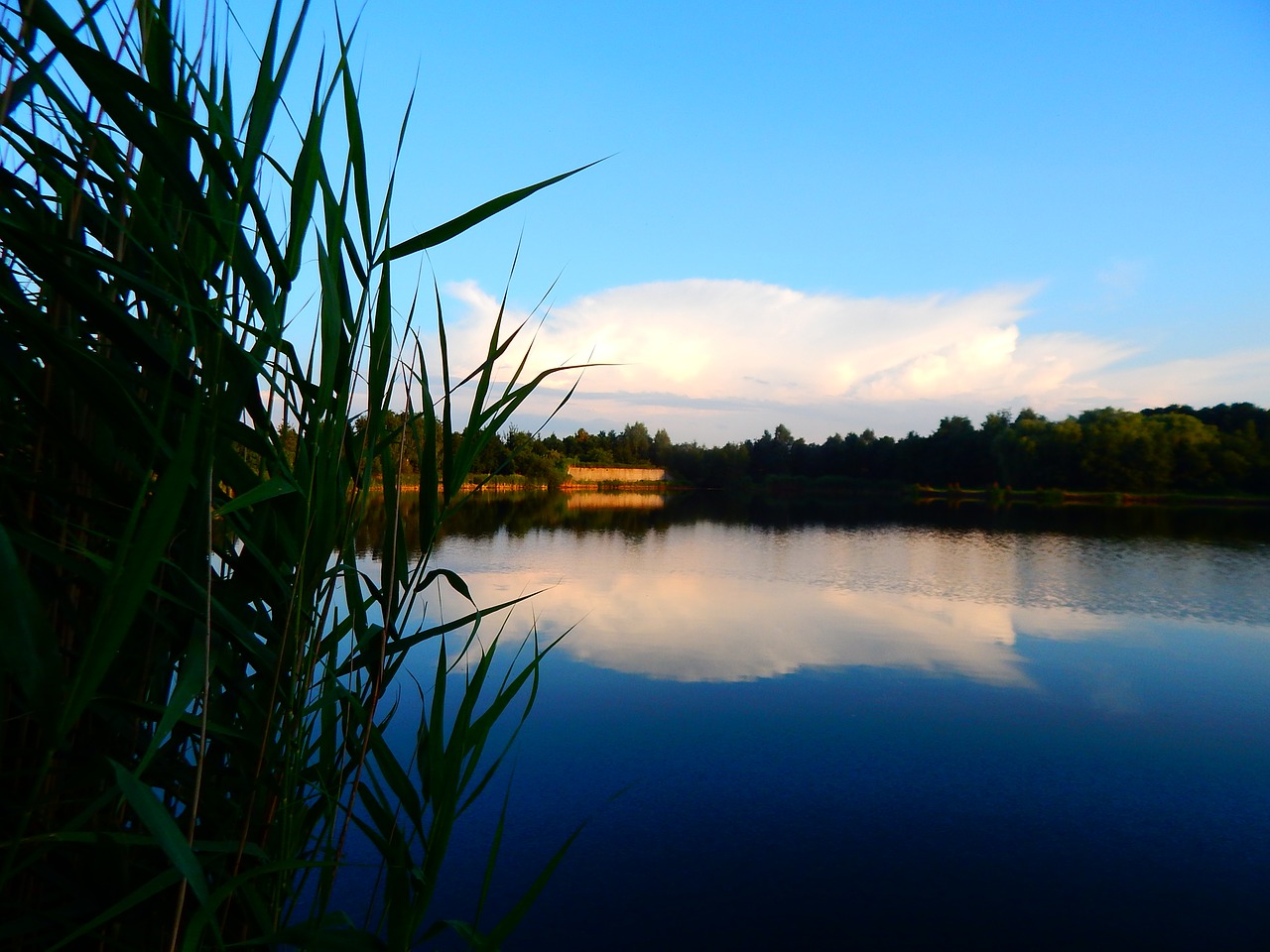 Image - clouds water reusel fish pond