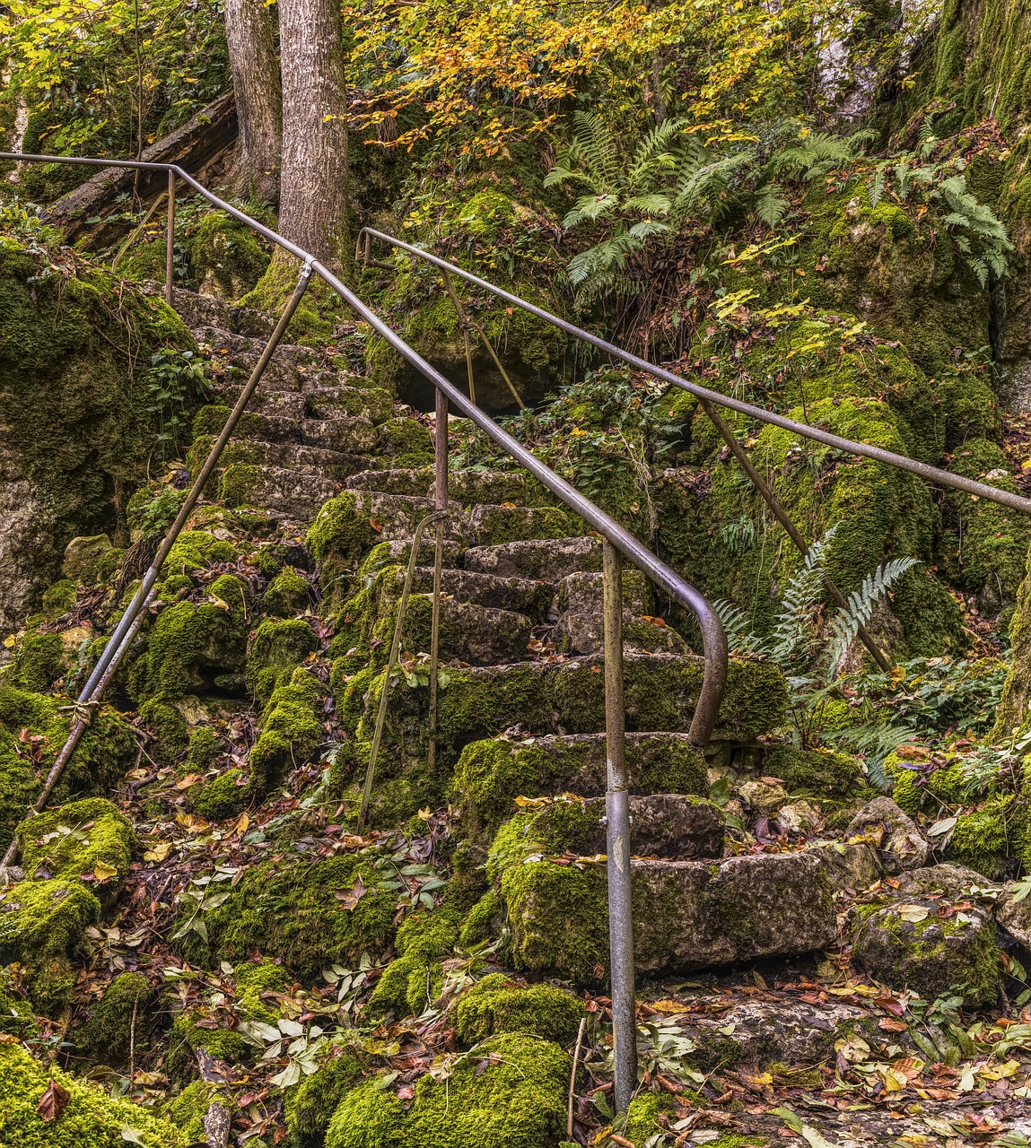 Image - stairs overgrown old moss nature