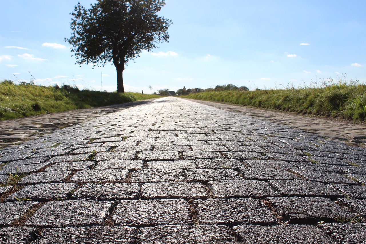 Image - road cobblestones tree