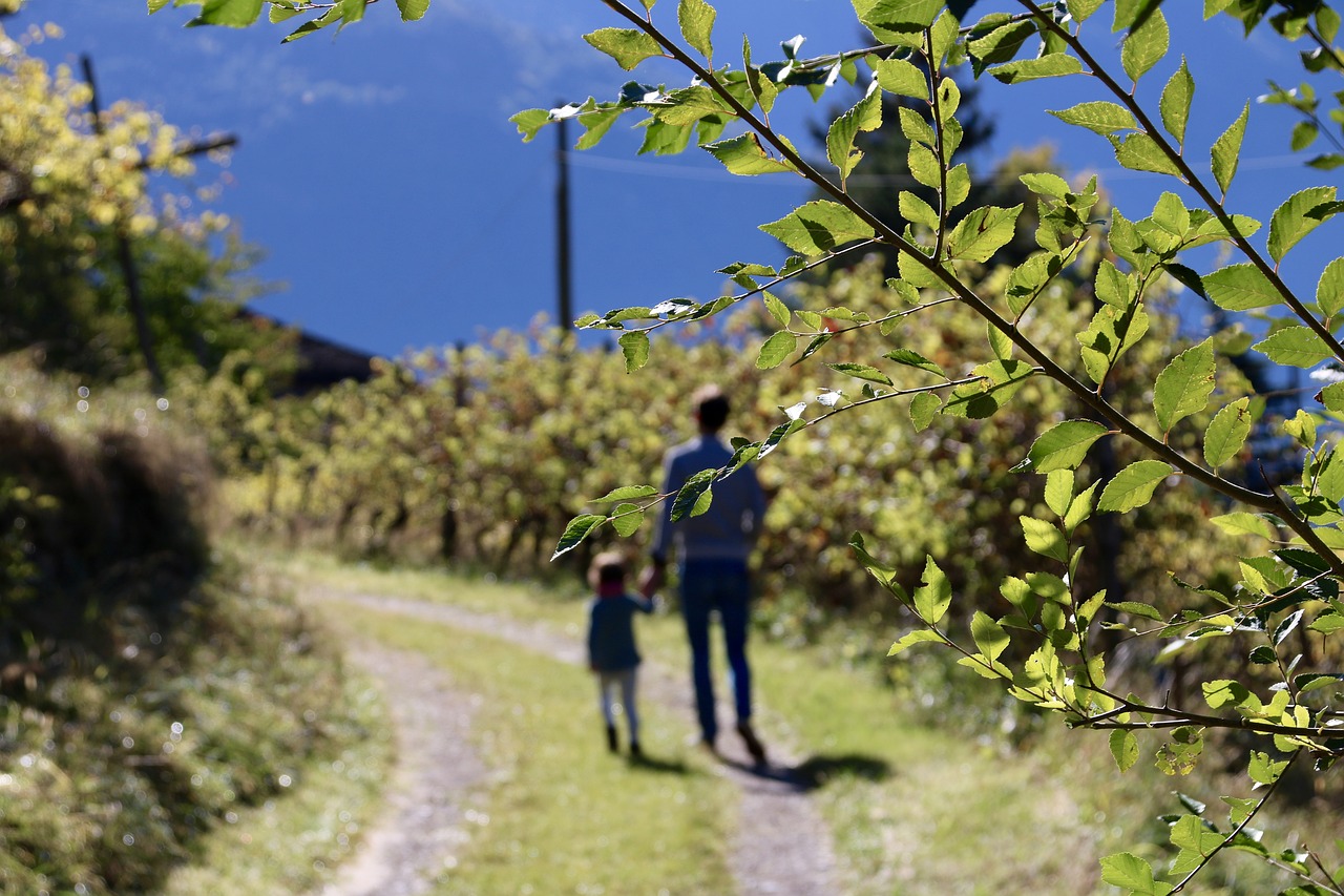 Image - autumn walk south tyrol apple wine