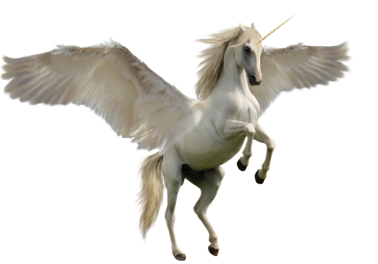 Image - unicorn fantasy horse mythology