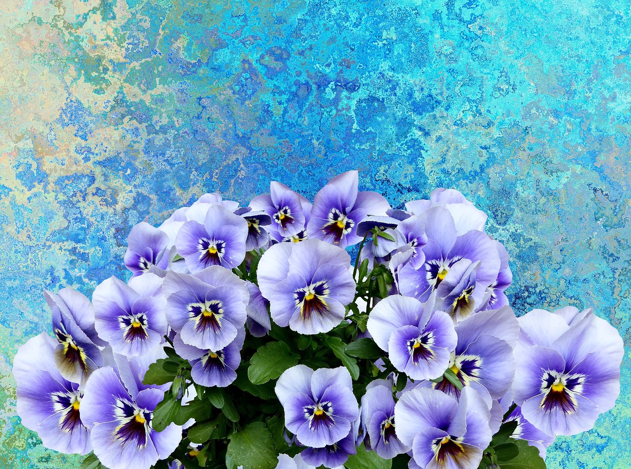 Image - pansy spring nature purple