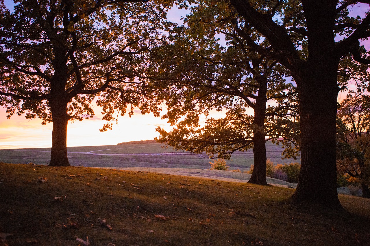 Image - sunset suceava travel sky nature