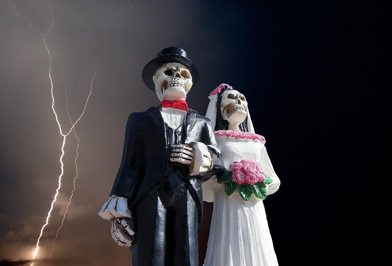 Image - halloween skeleton wedding scary