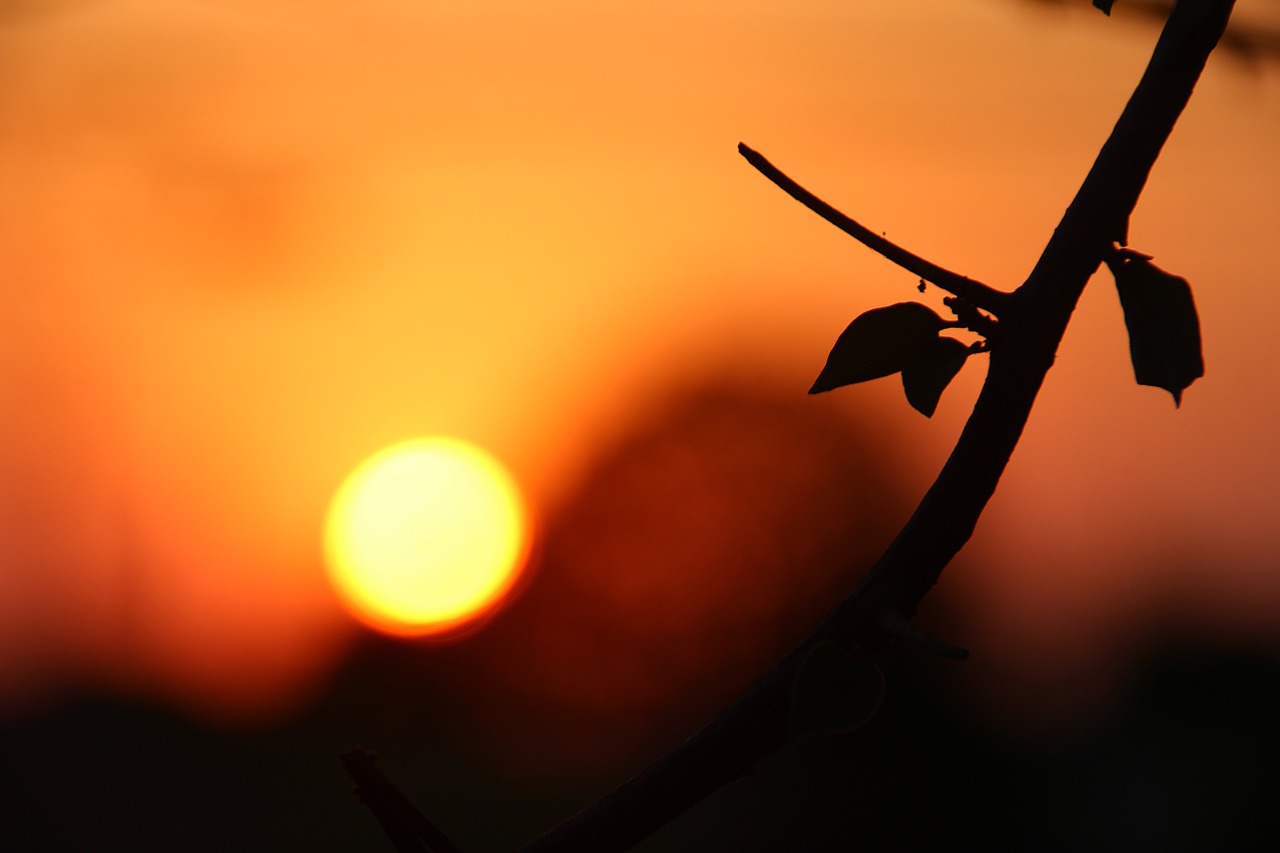 Image - sunset by sunsets eventide horizon