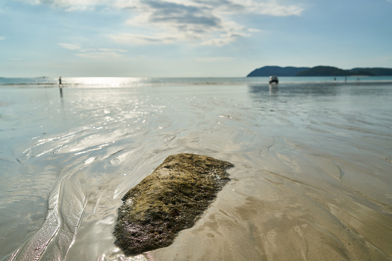 Image - landscape marine stone kennedy