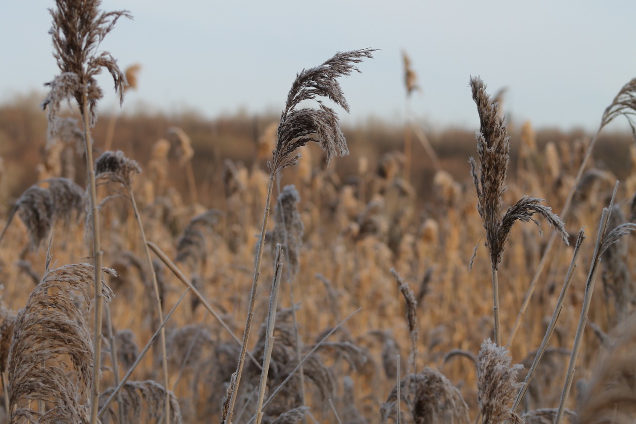 Image - autumn nature recreation area