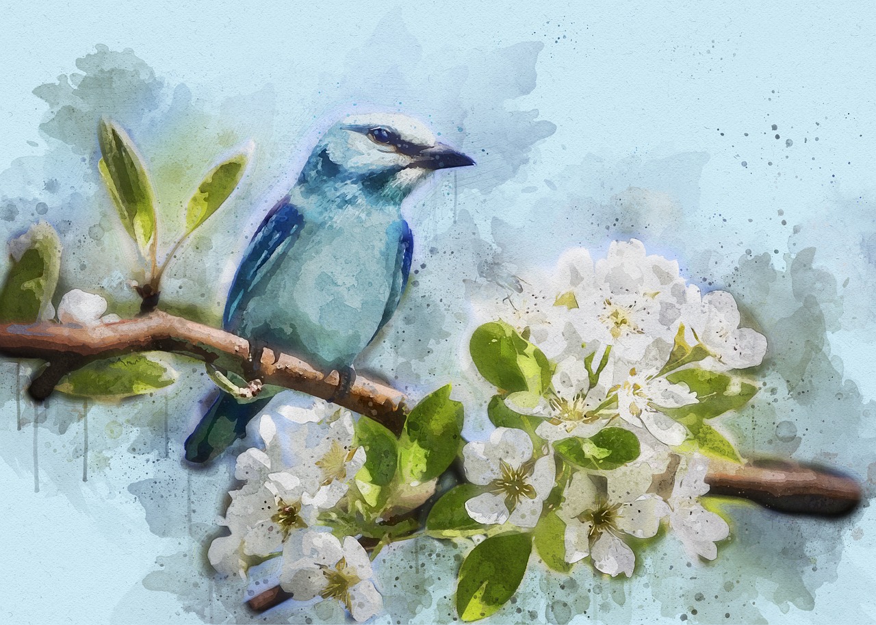 Image - bird blue feathered mood close